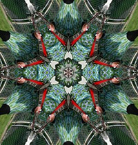 Mole Suit Choir Campfire Spacesuit CD cover