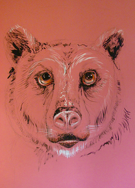 Liz Downing drawing, Pink Bear