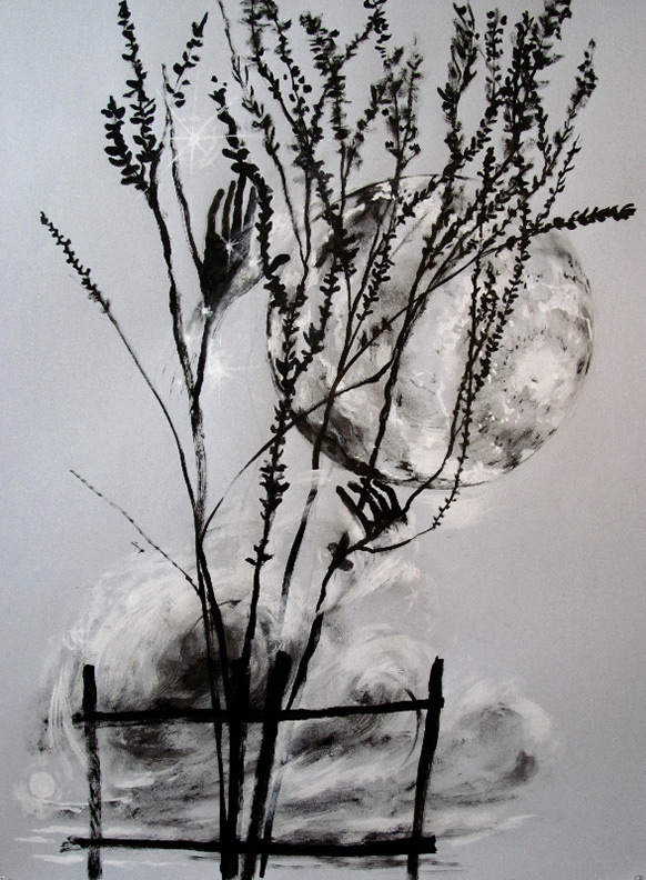 Liz Downing drawing, Tangled in the Crepe Myrtle