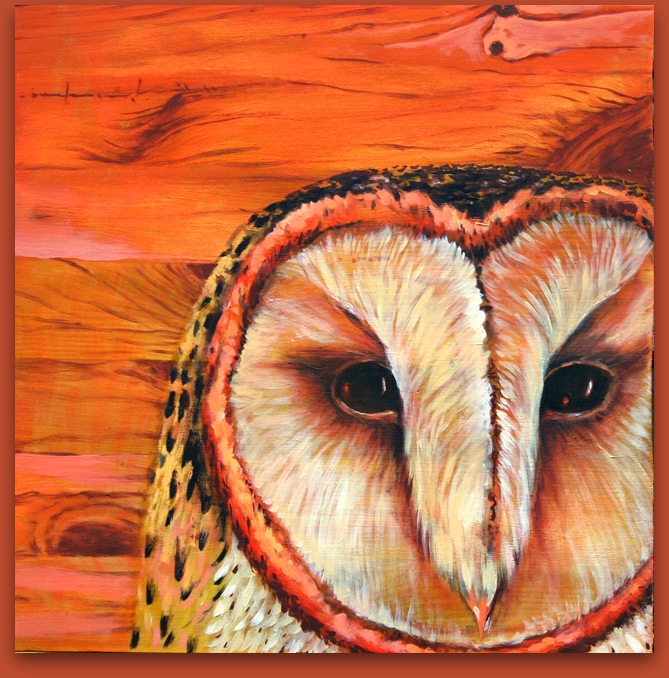 Barn Owl On Orange Wood