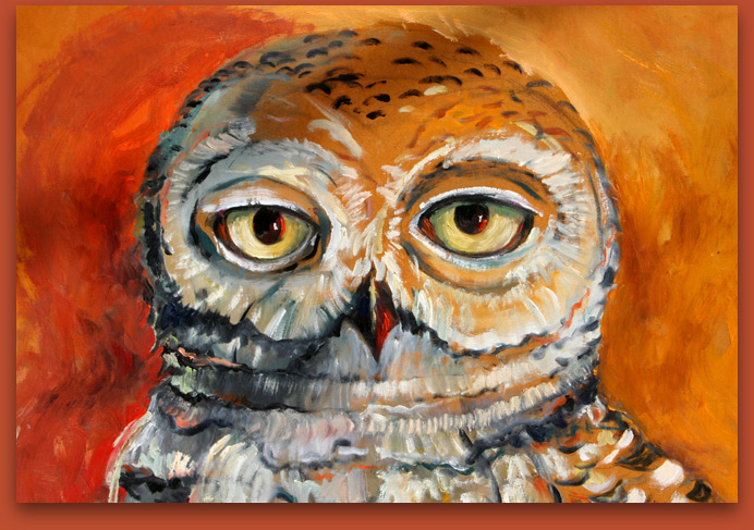 Snow Owl